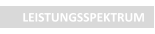 LEISTUNGSSPEKTRUM