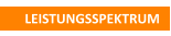 LEISTUNGSSPEKTRUM