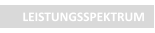 LEISTUNGSSPEKTRUM